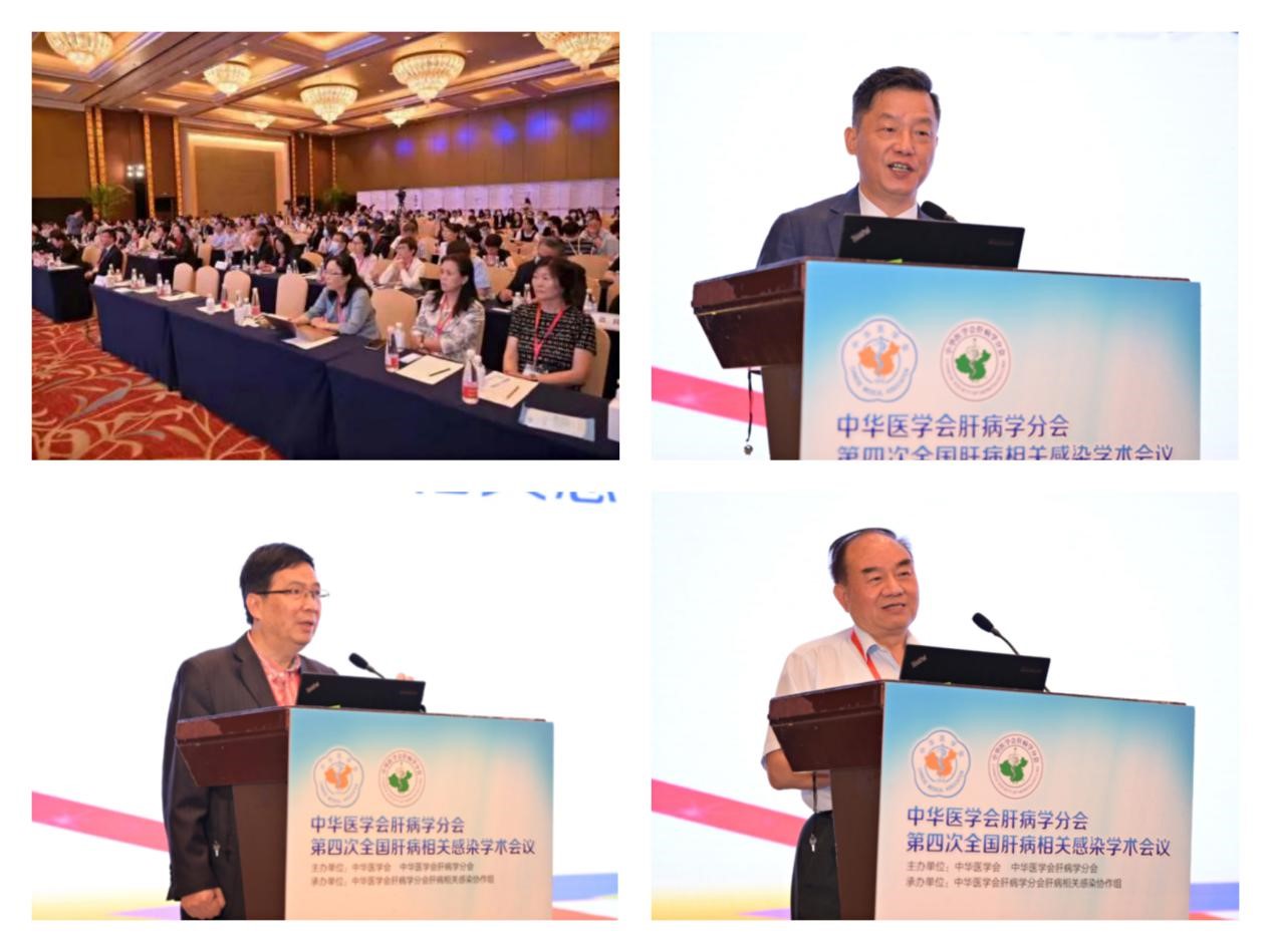 聚焦学术前沿，共迎肝病防治新征程！rb88随行版股份以学术助力中医药发展