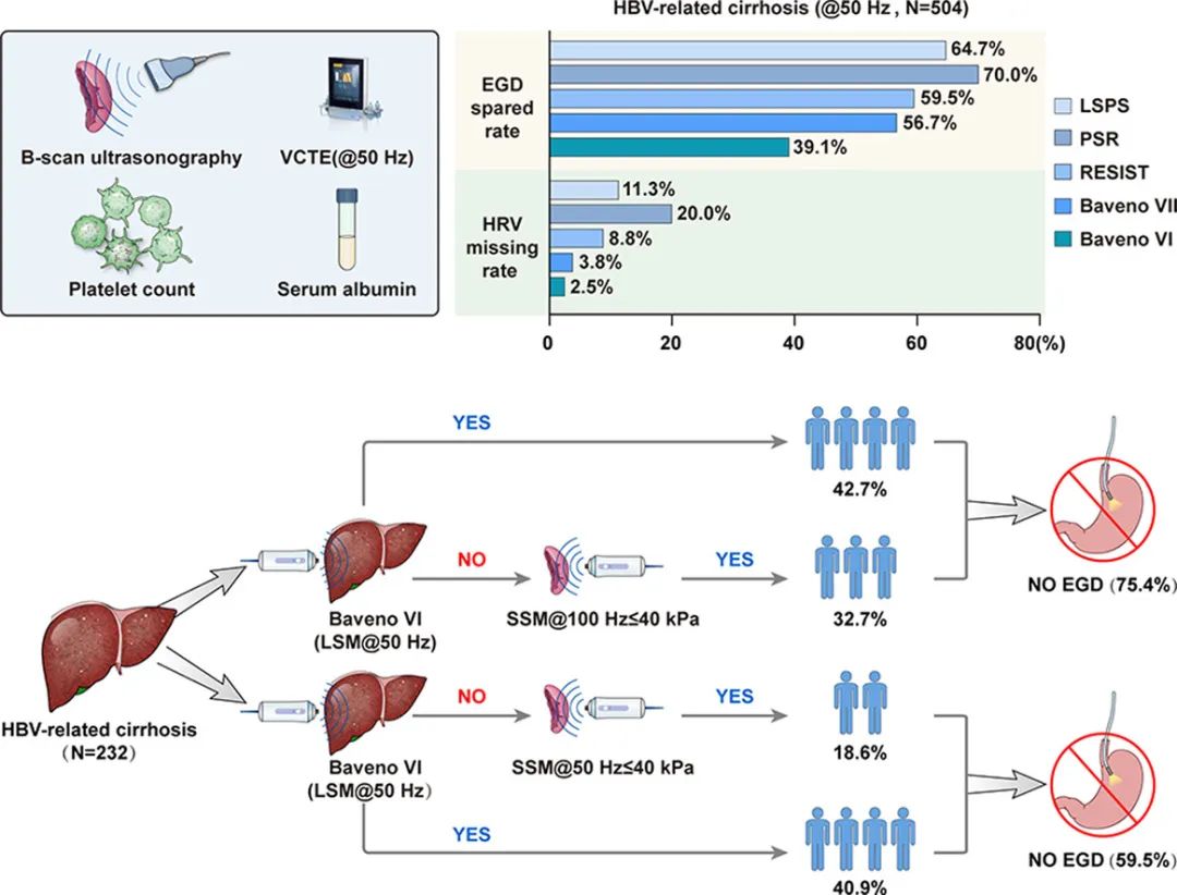 JOH丨南方医科大学陈金军教授团队：脾脏硬度测量可减少75%慢乙肝肝硬化的胃镜筛查