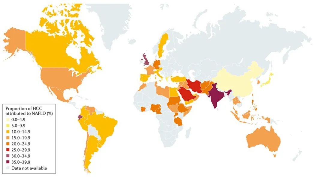 Nature 综述：中国脂肪肝相关肝癌发病率将升高86%，急需预防！